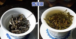 凤凰鸭屎香：绿茶or红茶？它会上火还是降火？