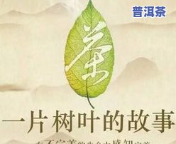 云南普洱茶宣传语，品味云南：探索普洱茶的魅力与故事