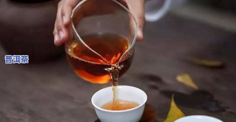 什么壶适合冲泡普洱茶的-什么壶适合冲泡普洱茶的茶叶