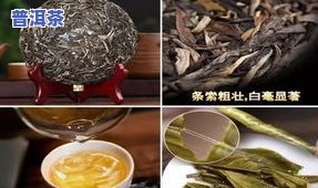 陈年普洱老茶，品味陈年普洱老茶：一种特别而深沉的享受