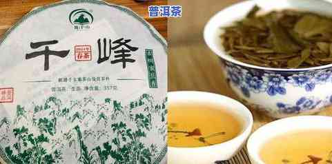 高香普洱茶制作过程步骤-高香普洱茶制作过程步骤