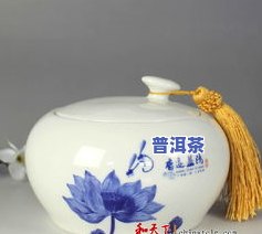 装茶叶的瓷器，品味生活：探索装茶叶的精美瓷器世界