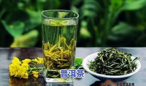 小冰岛是普洱茶吗还是绿茶-小冰岛是普洱茶吗还是绿茶呢