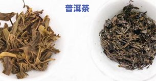 普洱茶被打假案例：有机茶曝光，2018年最新进展