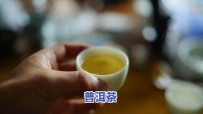 普洱茶27-普洱茶27个山头的口感