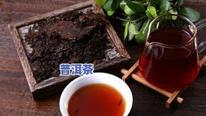 宫廷普洱茶叶：从茶到蛋再到底，一应俱全的普洱体验