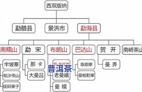 云南冰岛普洱茶多少钱一斤？价格查询与购买指南