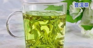 荷叶能不能泡茶，探讨荷叶的茶饮价值：它能泡茶吗？