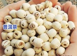 莲子心和茶叶一起泡-莲子心和茶叶一起泡水喝可以吗