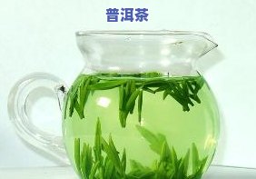 7538普洱茶，品味云南风情：探索7538普洱茶的独特魅力