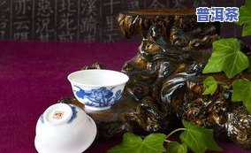 广东家里存普洱茶的更佳方法-广东家里存普洱茶的更佳方法是什么