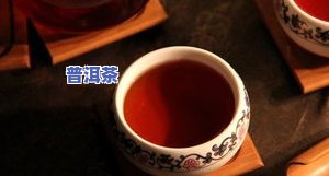 武夷普洱茶，品味古老韵味：探索武夷普洱茶的世界