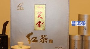 琅琊茶业：专业生产琅琊茶叶，打造优质琅琊业