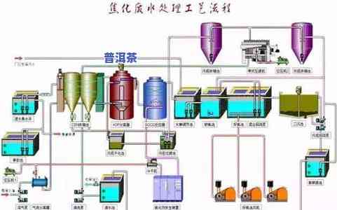 茶叶加工过程及其工艺，深入解析：茶叶加工过程及其关键工艺