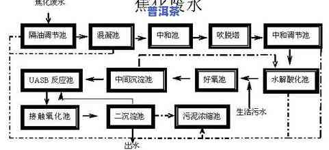 茶叶加工过程及其工艺，深入解析：茶叶加工过程及其关键工艺