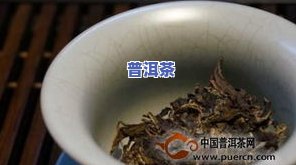 普洱茶泡多少合适，怎样泡出理想的普洱茶？——泡茶量的探讨