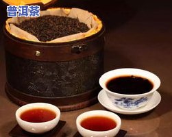 南糯山哈尼文化园的茶叶-南糯山哈尼族古茶园