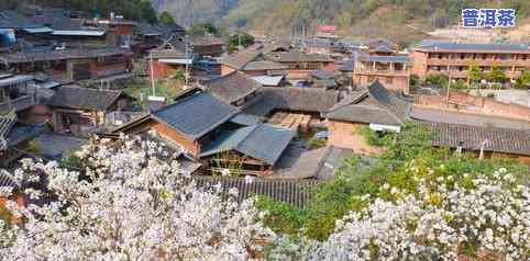 普洱茶马古道住-普洱茶马古道住宿业普遍存在的疑问