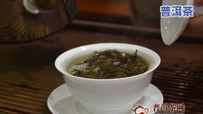 普洱茶环境-普洱茶环境分析