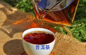 有话梅味的普洱茶推荐吗-有话梅味的普洱茶推荐吗