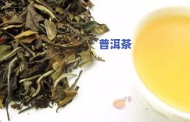 福鼎白茶：推荐与口感评价