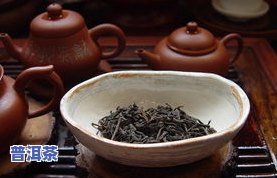 云南昌宁普洱茶：品种、品质与价格全解析