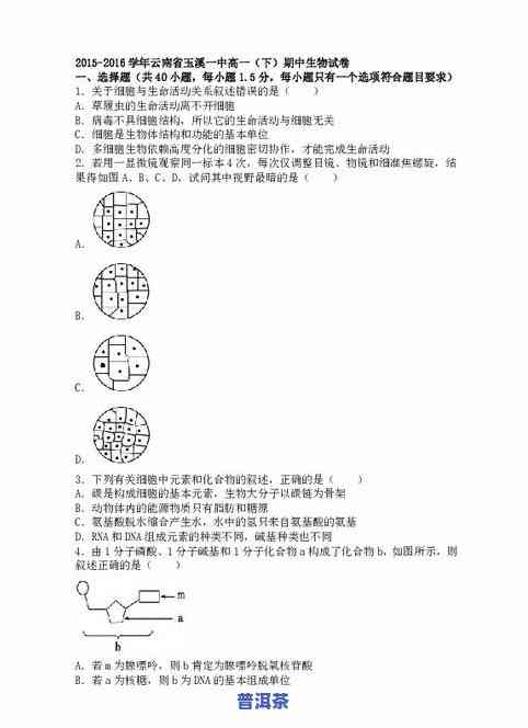 云南昌泰普洱茶兰韵价格全解析，一文看懂8588的价格与品质