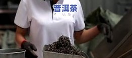 普洱茶颜色分优劣，如何通过颜色判断普洱茶的优劣？