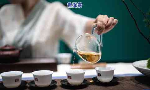 探究各种茶叶的优缺点：全面熟悉茶的世界