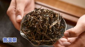 勐海普洱茶特点-勐海普洱茶特点口感