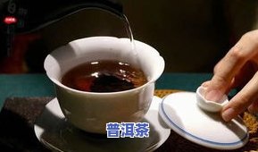 古树普洱茶冲泡方法窍门视频讲解大全下载