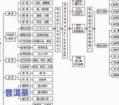 普洱茶叶分几级，详解：普洱茶叶的等级划分及其特点