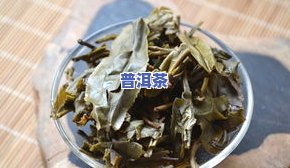 普洱茶样貌-普洱茶的样子