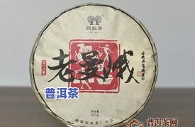 为何叫普洱茶：起源与命名探析