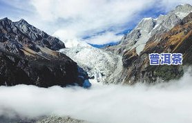 苍山上的普洱茶有哪些，探秘苍山：揭秘那些生长在山顶的普洱茶