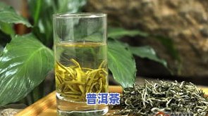 云南大渡岗绿茶厂家：电话、产品介绍及厂家信息全览