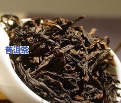 奇兰茶特点，探索奇兰茶的独特魅力：揭开其特点的神秘面纱