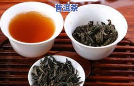 奇兰茶特点，探索奇兰茶的独特魅力：揭开其特点的神秘面纱