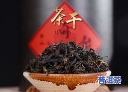 奇兰茶特点，探索奇兰茶的独特魅力：揭开其特点的神秘面纱