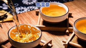 西双版纳的茶属于什么茶，探秘西双版纳：揭秘其独特茶叶品种