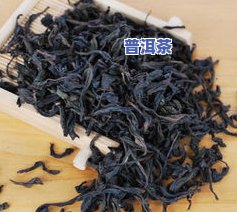 西双版纳的茶属于什么茶，探秘西双版纳：揭秘其独特茶叶品种