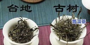 如何准确区分普洱古树茶与新树茶？