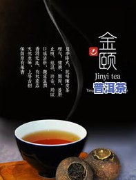 南等普洱茶，探索南等普洱茶：品味云南的独特风味与历史传承