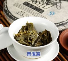 古树新茶普洱茶-古树普洱新茶的口感