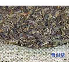 古树新茶普洱茶-古树普洱新茶的口感