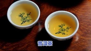 香气高的普洱茶推荐：哪些口感更佳？用户分享购买经验！