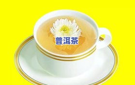 普洱茶和菊花茶哪个好喝，口感对决：普洱茶 vs 菊花茶，你更喜欢哪一个？