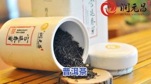 拿什么泡普洱茶好，更佳选择：泡普洱茶的完美伴侣是什么？