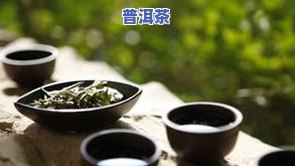 拿什么泡普洱茶好，更佳选择：泡普洱茶的完美伴侣是什么？