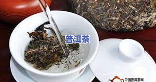 熟普洱茶可以直接用开水泡着喝吗，可以直接用开水泡的茶叶是什么？答案是熟普洱茶！